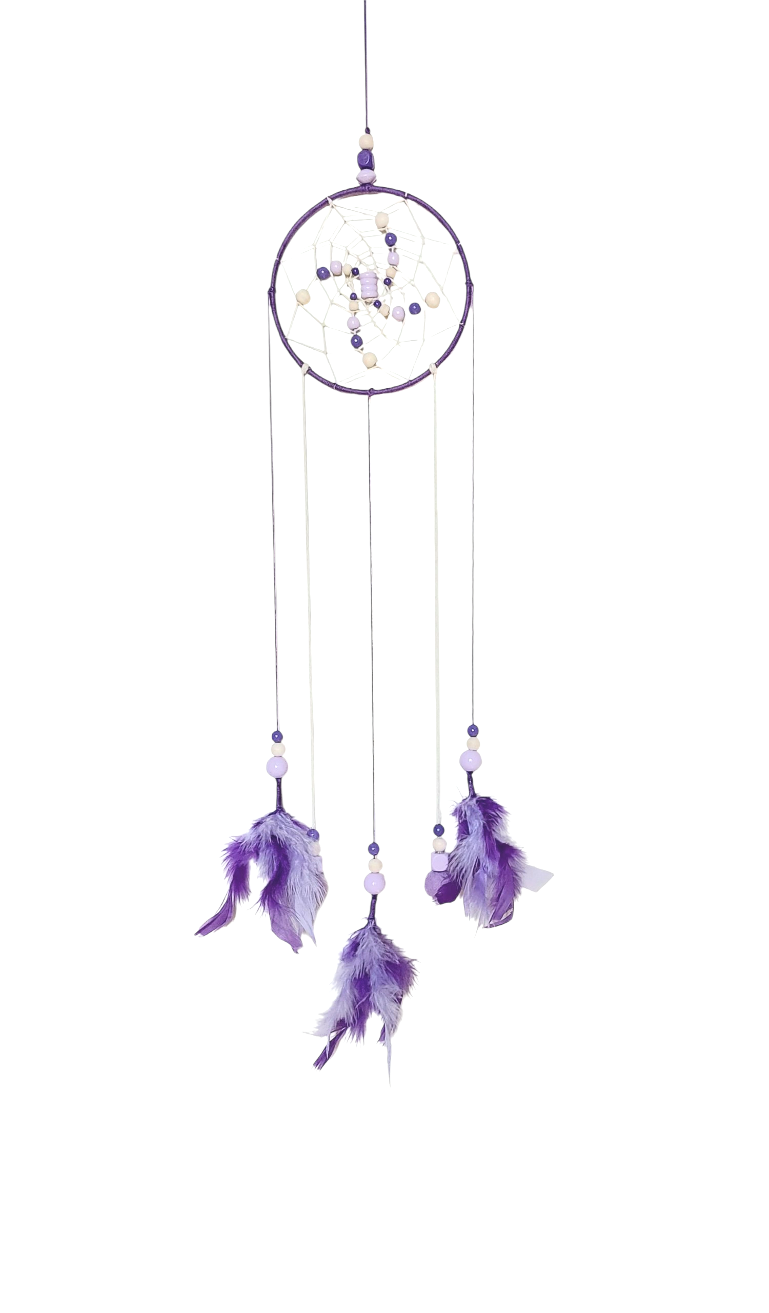 lila-paarse dromenvanger