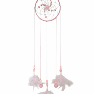 Zachtroze dromenvanger