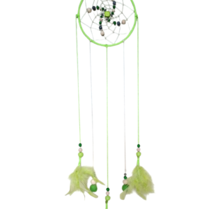 Felgroene dromenvanger