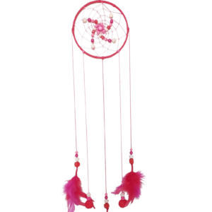 Rood-roze dromenvanger